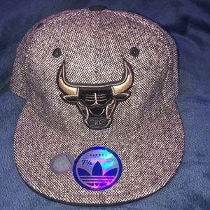 Bulls fitted hat